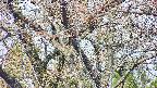 takano4-20250427082057.jpg
