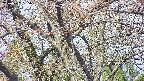 takano4-20250427085057.jpg