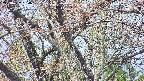 takano4-20250427094057.jpg