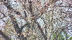 takano4-20250427105057.jpg