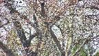 takano4-20250427114056.jpg
