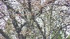 takano4-20250427115058.jpg