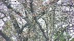 takano4-20250427120058.jpg