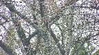 takano4-20250427125055.jpg