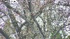 takano4-20250427134057.jpg