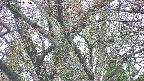 takano4-20250427135057.jpg