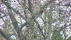 takano4-20250427140057.jpg