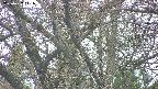 takano4-20250427141056.jpg