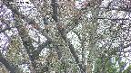 takano4-20250427142057.jpg