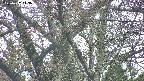 takano4-20250427143057.jpg