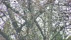 takano4-20250427153057.jpg