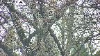 takano4-20250427154057.jpg