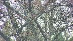 takano4-20250427162056.jpg