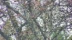 takano4-20250427164056.jpg