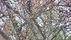takano4-20250427165056.jpg
