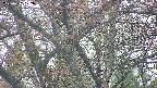 takano4-20250427172056.jpg