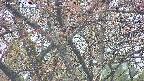 takano4-20250427173058.jpg