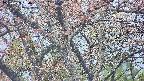 takano4-20250427180058.jpg