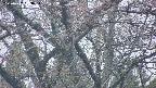 takano4-20250427183055.jpg