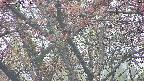 takano4-20250429051057.jpg