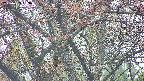 takano4-20250429053056.jpg