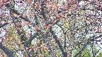 takano4-20250429110058.jpg