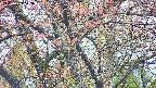 takano4-20250429113056.jpg