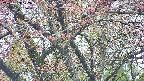 takano4-20250429122057.jpg