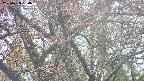 takano4-20250429150057.jpg