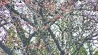takano4-20250429160056.jpg