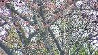 takano4-20250429174058.jpg