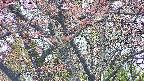 takano4-20250429180056.jpg