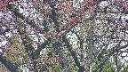 takano4-20250429181057.jpg