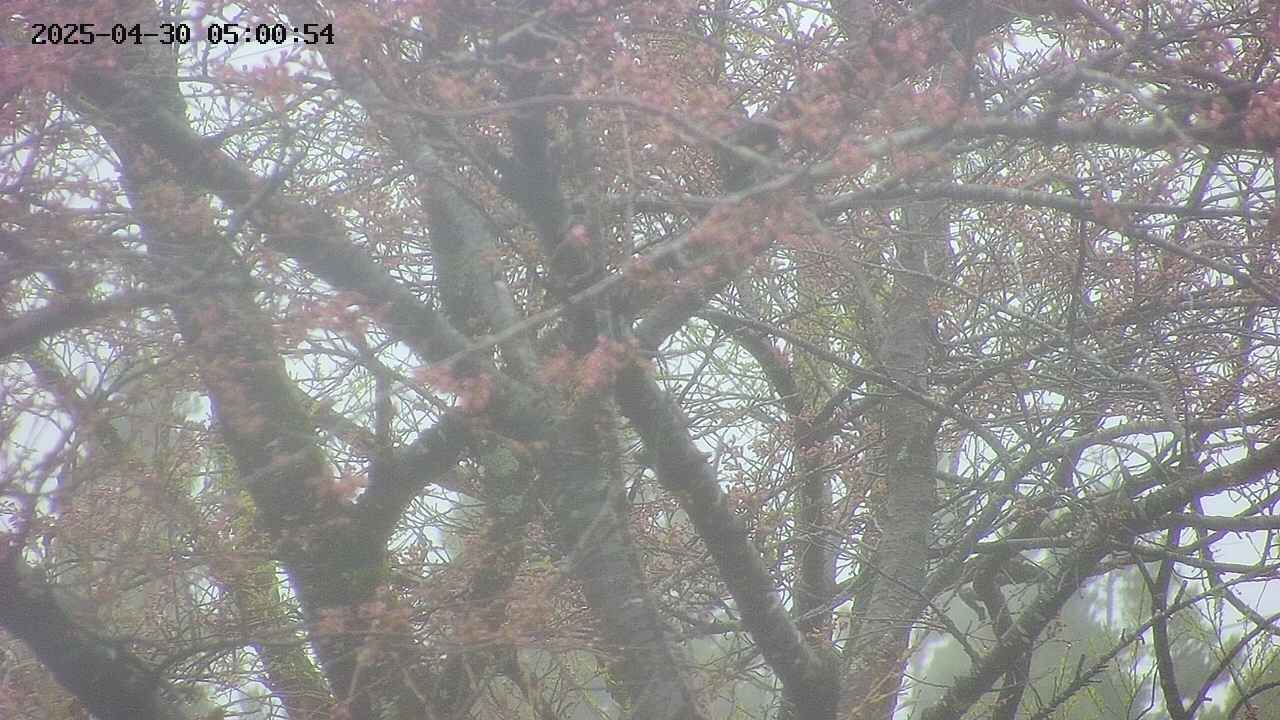 takano4-20250430050056.jpg