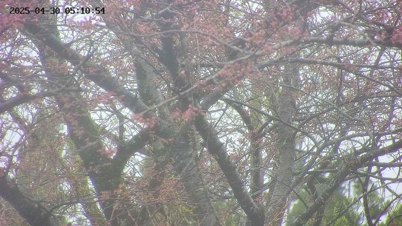 takano4-20250430051056.jpg