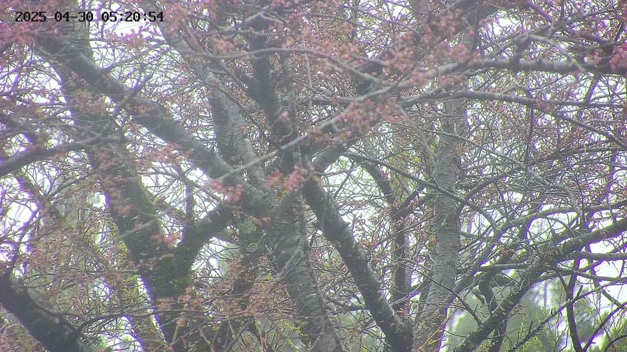 takano4-20250430052055.jpg