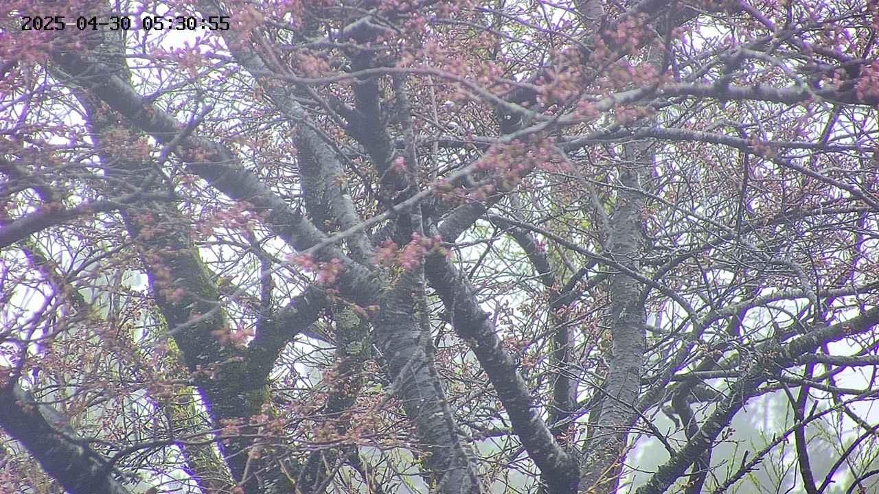 takano4-20250430053056.jpg