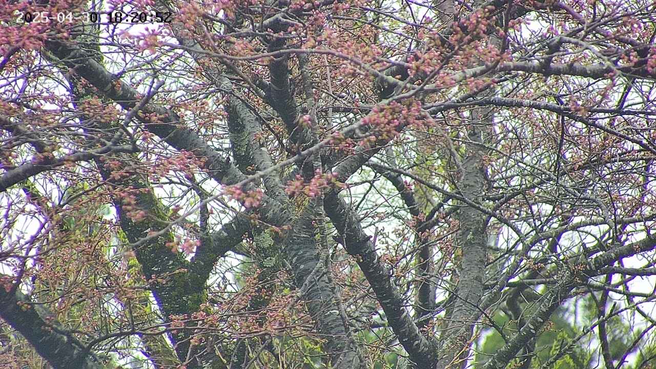 takano4-20250430182059.jpg