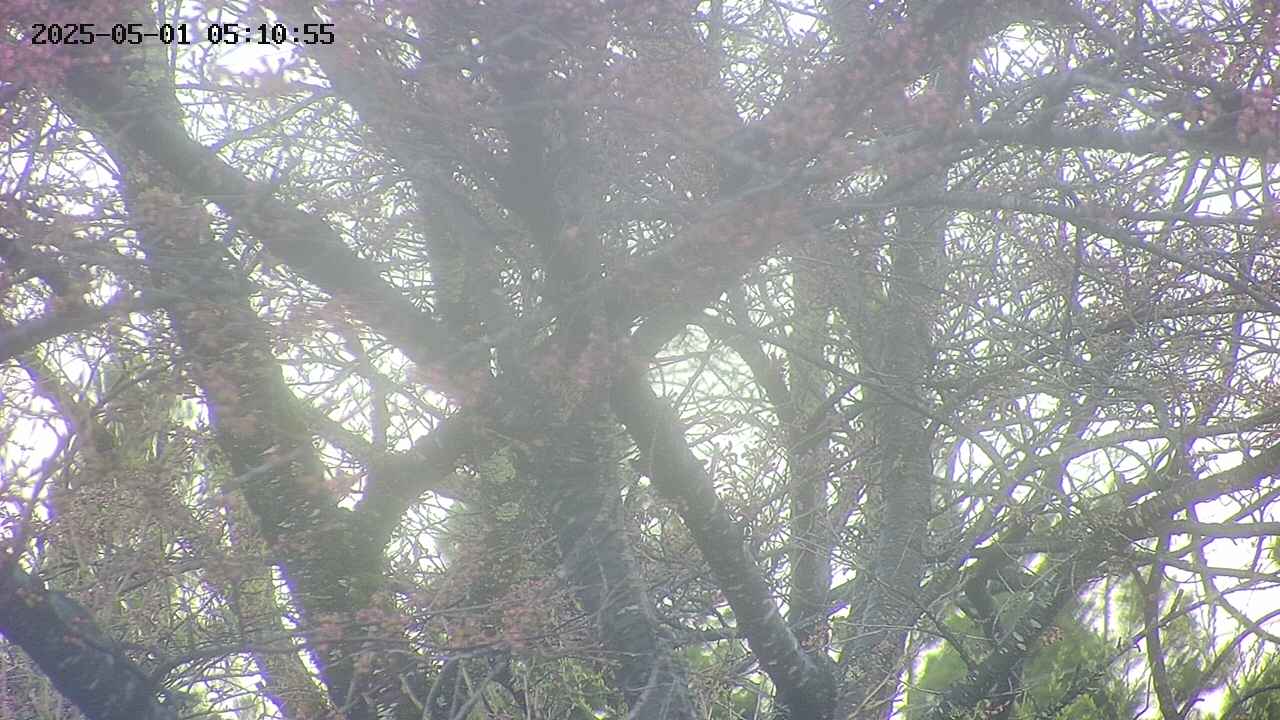 takano4-20250501051056.jpg