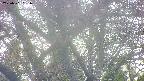 takano4-20250501051056.jpg