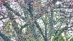 takano4-20250501052056.jpg