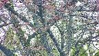 takano4-20250501053058.jpg