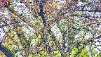 takano4-20250501055058.jpg