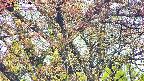 takano4-20250501060057.jpg
