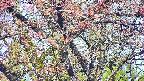 takano4-20250501063059.jpg