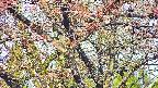 takano4-20250501064059.jpg