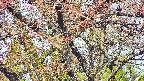 takano4-20250501065059.jpg