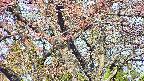 takano4-20250501074058.jpg