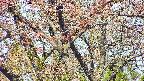 takano4-20250501080100.jpg