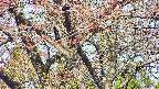 takano4-20250501081058.jpg